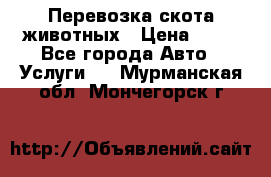 Перевозка скота животных › Цена ­ 39 - Все города Авто » Услуги   . Мурманская обл.,Мончегорск г.